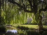 A small stream with a weeping willow hanging over it. In the background is a brick building with sash windows and a small lawn. There is blue sky and sun reflected in the water.