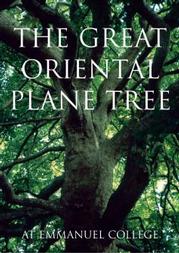 Image of The Great Oriental Plane at Emmanuel