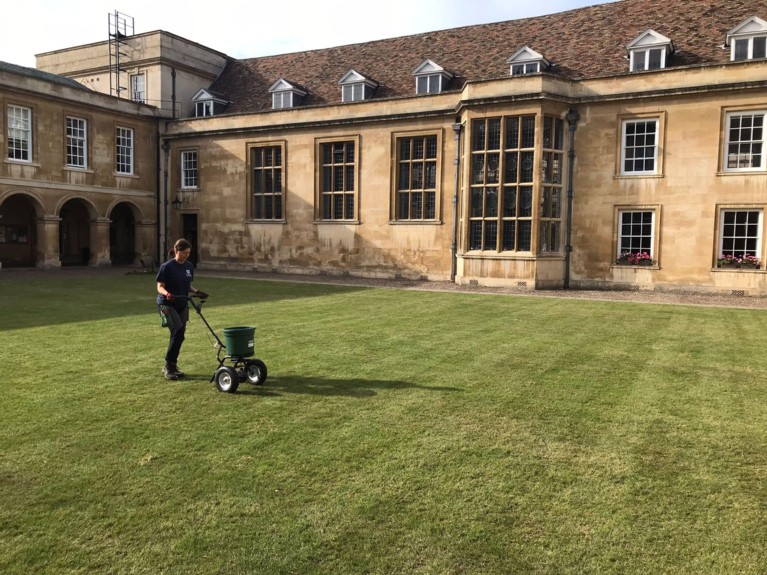 Lawn Jockey : Unleash the Ultimate Secrets for a Lush and Vibrant Lawn