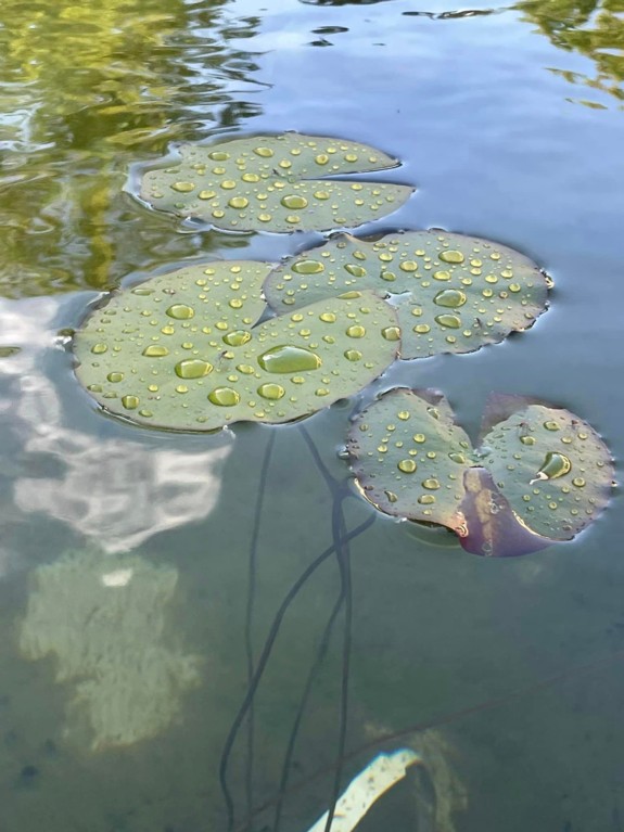 Bandeau Back on Track® Lilly - TEXTILES INTELLIGENTS ET OBJETS CONNECTÉS -  PADD