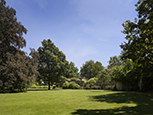 A large lawn with many trees in leaf. A low wall in the background with a wooden gate.