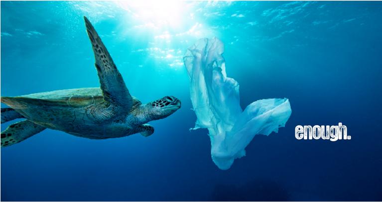 Image for the news item 'What to do about all the plastic bottles?' on 9 Jul 2020