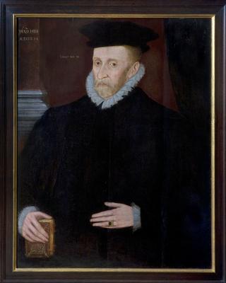 Painting of Mildmay, Sir Walter (161)