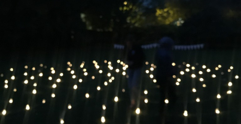 Two people walking through a range of lights, on a lawn with floodlit trees in the background.