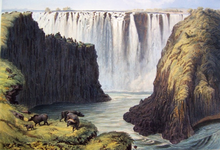A coloured drawing of a waterfall in the distance, down a long river, which has high cliffs either side. There are black wilderbeasts with curved horns in the front