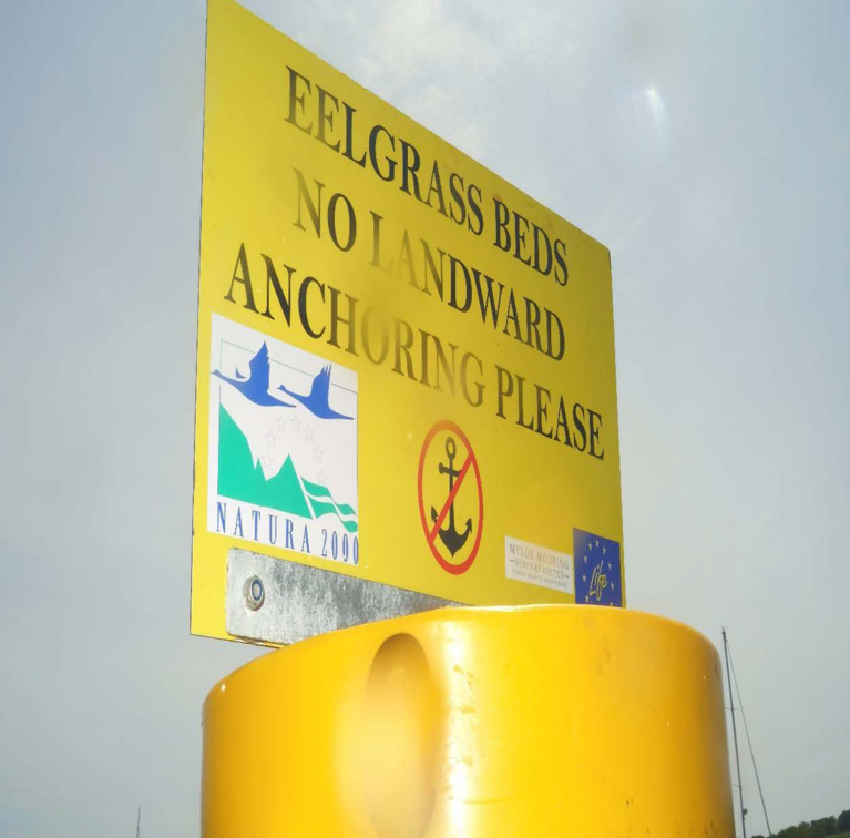 A sign that reads 'eelgrass beds, no lanward anchoring please'