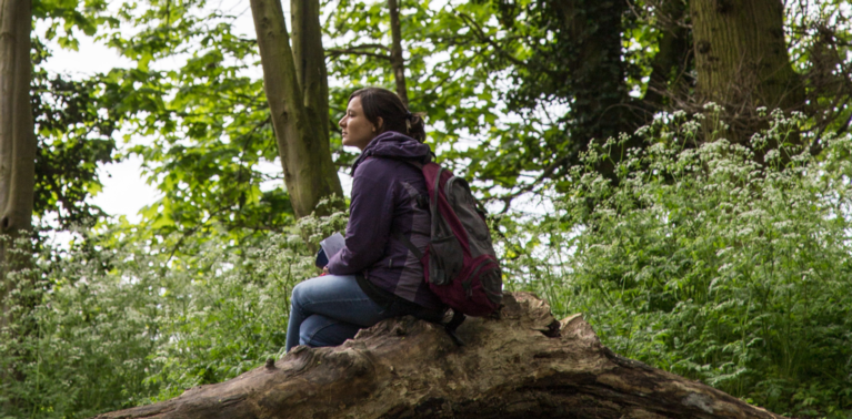 A woman with a backpack sitting on a large fallen tree trunk in a wood, surrounded by green and white cow parsley.