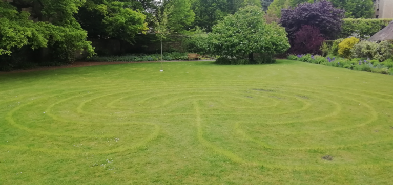 A curving seeded labyrinth on a large lawn, with trees in leaf in the background.