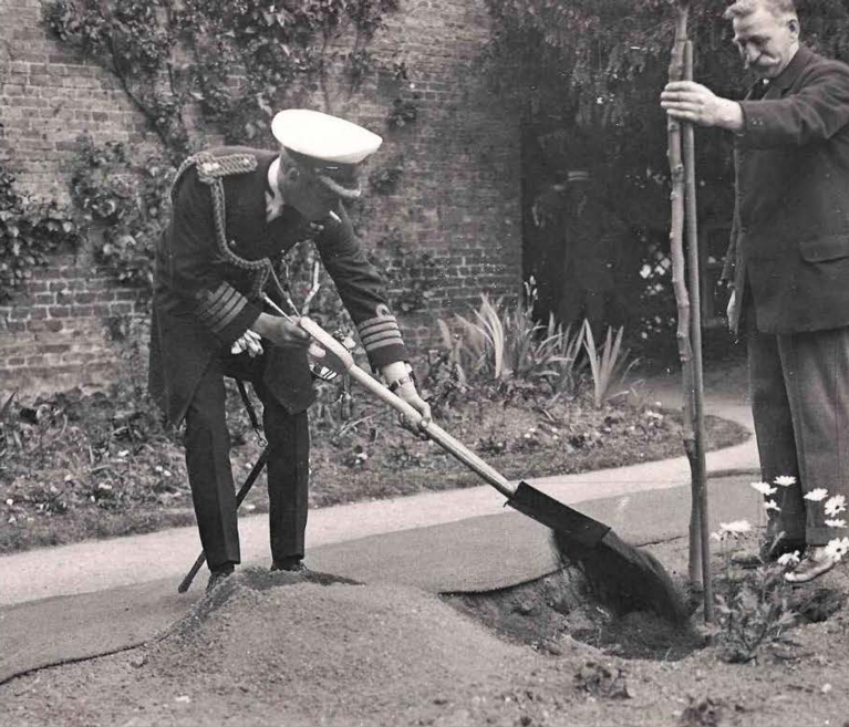 A black and white photo of a man in naval dress replacing soil underneath a small tree, held by a man in a suit, who has a huge moustache