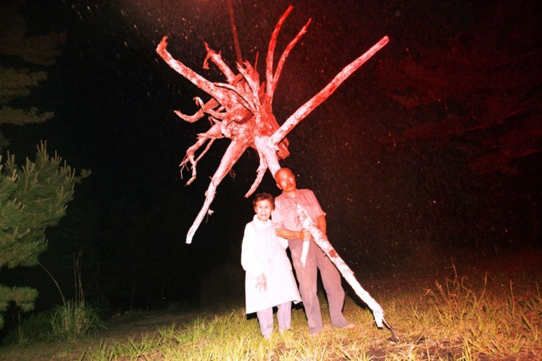 An image of two Japanese people holding the roots of a nuclear-damaged tree