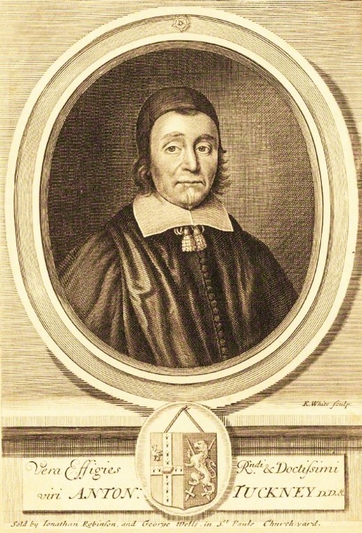 An engraving portrait of a man in black robes, a white collar and a black cap