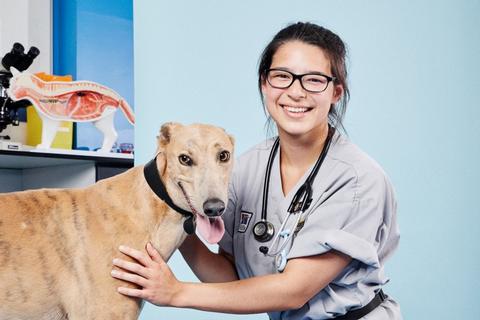 Thumbnail for Samantha – A Hong Kong Veterinary Adventure!